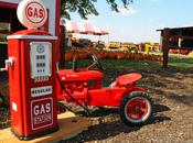 Indiana Pumpkin Patch: Harvest Tyme Images Lowell,