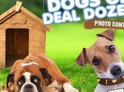 P10,000 Dogs Deal Dozen Photo Contest!