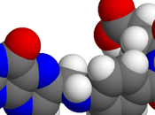 Folic Acid Early Pregnancy Reduces Risks Severe Language Delay