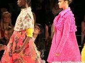 Academy Fall 2014 Womens Collections