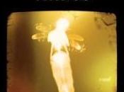 Review Museum Extraordinary Things Alice Hoffman