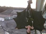 Batgirl Shuts Down