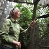 China Pillages Africa Like Colonialists, Says Wildlife Expert Jane Goodall