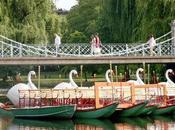 Paget Give Lecture Boston Swan Boats