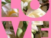 West Midlands Meet Flowers from Farm