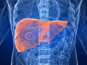Low-Carb Diet Best Fatty Liver