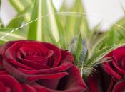 Send Flowers Just Because