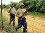 Botswana’s Rhino Sanctuary Leading Fight Against Ivory Poachers Telegraph