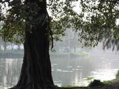 DAILY PHOTO: Lakeside Ayutthaya