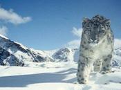 Wildlife Photographer Catches First Snow Leopard Kill Ever