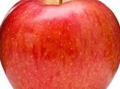 Boycott Turkey, Azerbaijan Others Supported Pakistan Against India