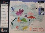 Grape Spotlight: Castilla León D.O. Bierzo Mencia