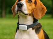 Ways Trackers Make Life Easier Owners