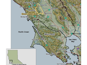 Grape Spotlight: Green Valley Russian River Pinot Noir