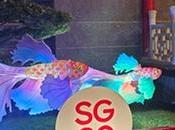 Celebrate MidAutumn Festival 2025 SCCCI with Qing Yuan: Lanterns, Live Music Local Artisans