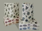 Birthday Gift Ages: Complete Novels Jane Austen Folio Society