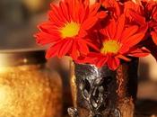 Making Life Fall Edition