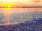 Experience with Online Writing Workshop