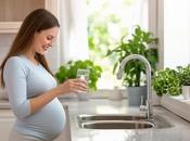 Water Safe Drink While Pregnant?