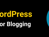 Best WordPress Themes Blogging 2025