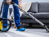 Reasons Consider Professional Cleaners Extend Your Carpets Long Life
