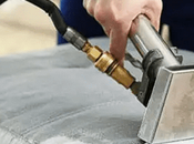 Professional Sofa Cleaning: Which Option Works Best?