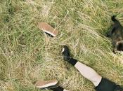 Brutalligators ‘Hold Fast’