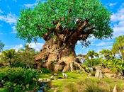 Root Camp: Ultimate Journey Back Self Significant Connection