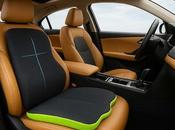 What Orthopedic Seat Cushion?