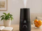 What Humidifier Used Home?