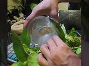 Embracing Plant Enthusiast Lifestyle 13sqm Studio Mandaluyong