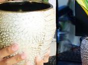 STYLISH AFFORDABLE! Where Budget-Friendly Display Pots Vases Japan Home Center Haul