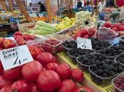 Twenty Questions (E4): Strange Things Abroad