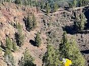 CANARY ISLANDS NATURE TOUR, Part Guest Post Susan Kean