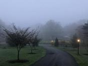 Blue Cliff Monastery