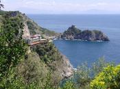 Savor Journey: Travel Tips