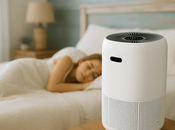 Purifiers Remove Carbon Monoxide (CO)?