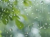 Weather Today: Rain Provinces