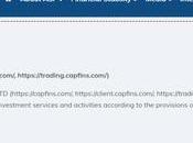 Capfins Group Review