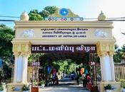 Weapon Ammunition Found Jaffna