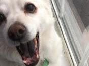 Family Crossed Rainbow Bridge This Spring