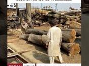 Noah Building Ghana (video)