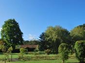 Summer’s Almost Over