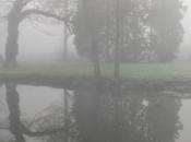 Misty Springy Warmy Sunshine