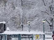 Snow 2026