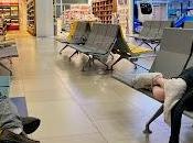 Pivot Travel Plans Lengths Will Mangoes)