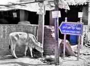 துபாய் குறுக்கு தெரு தெரியும் நேர் தெரியுமா