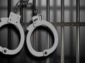 Three Arrested Over Vehicle Racket Using Forged Documents