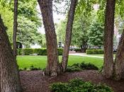 Shade [Shipyard Park]