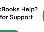 Stability Breakdown: QuickBooks Keeps Crashing Across Desktop Online Versions